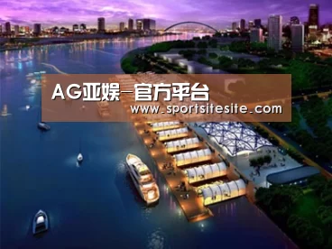 案例展示八