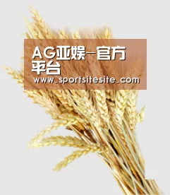 AG亚娱-官方平台