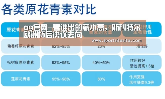 ag官网-看谁出的薪水高,斯科特尔欧洲杯后决议去向(图1) 亚娱