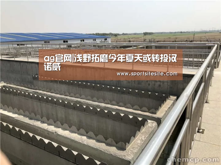 ag官网|浅野拓磨今年夏天或转投汉诺威(图2) ag官网
