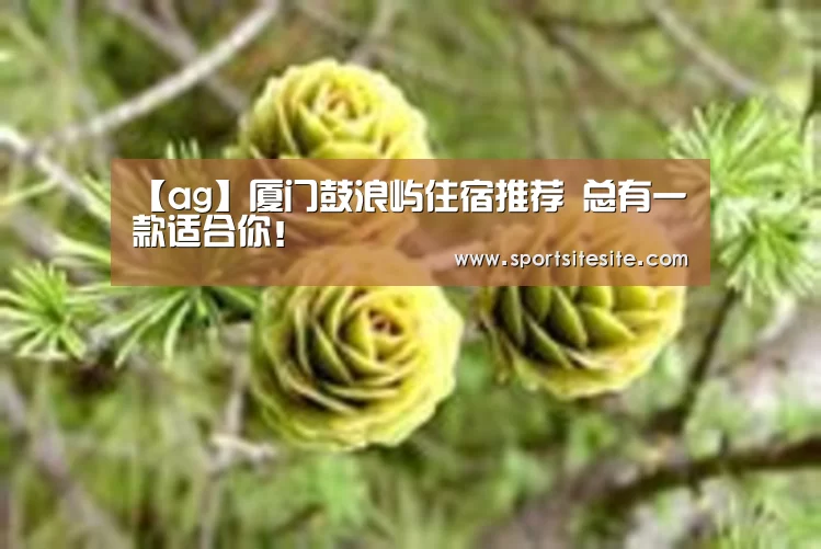 【ag】厦门鼓浪屿住宿推荐 总有一款适合你!(图1) 【ag】厦门鼓浪屿住宿推荐 总有一款适合你!(图1)