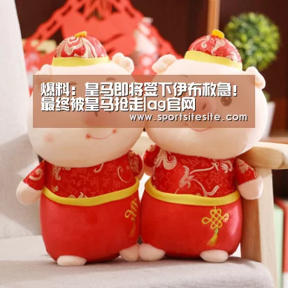 爆料:皇马即将签下伊布救急!最终被皇马抢走|ag官网(图1) 亚娱