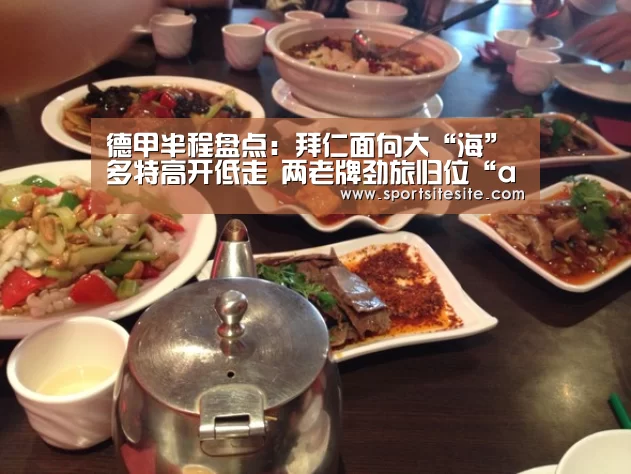 德甲半程盘点:拜仁面向大“海”多特高开低走 两老牌劲旅归位“ag”(图2) ag官网