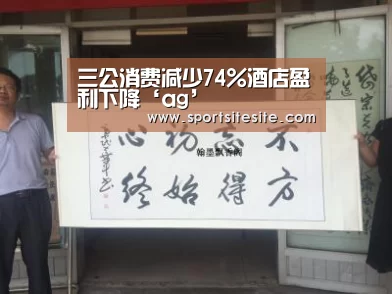 三公消费减少74%酒店盈利下降‘ag’(图1) ag官网