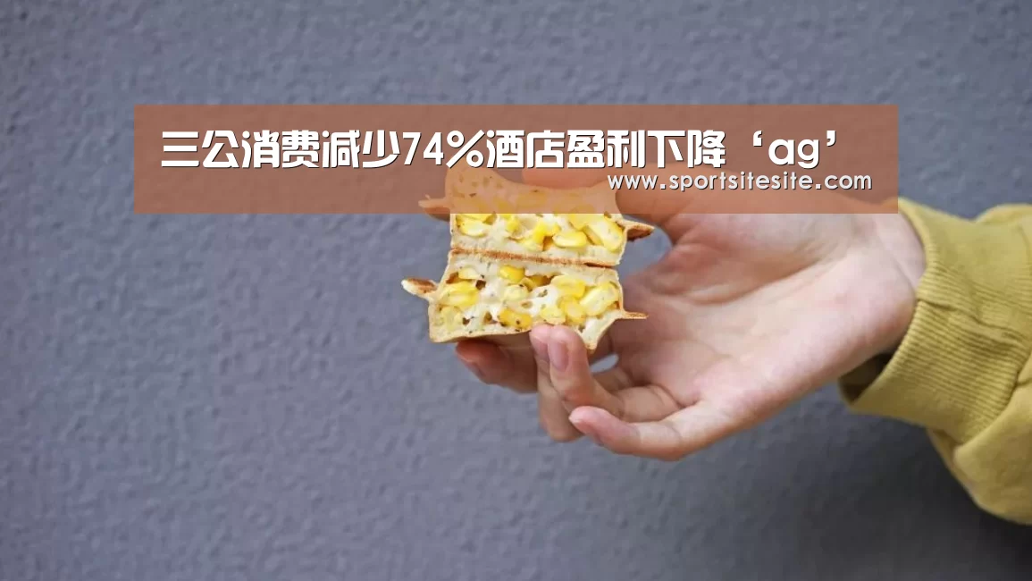 三公消费减少74%酒店盈利下降‘ag’(图2) 亚娱