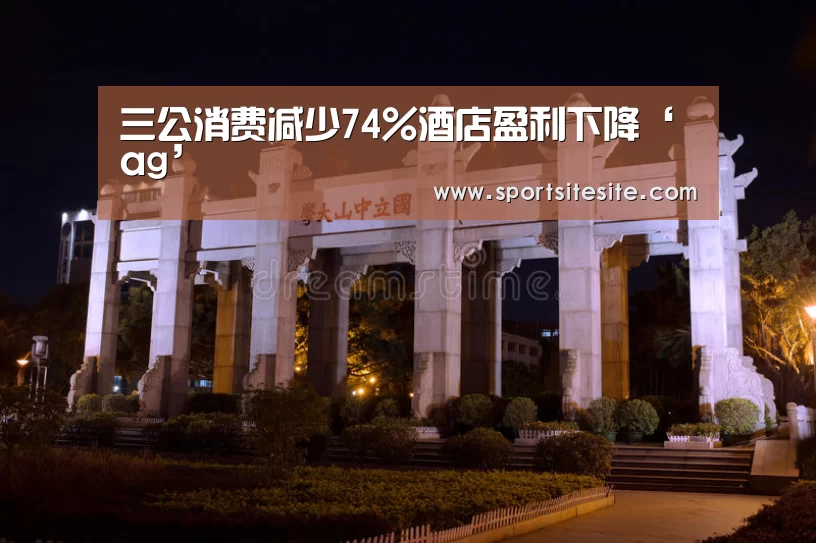 三公消费减少74%酒店盈利下降‘ag’(图3) 三公消费减少74%酒店盈利下降‘ag’(图3)