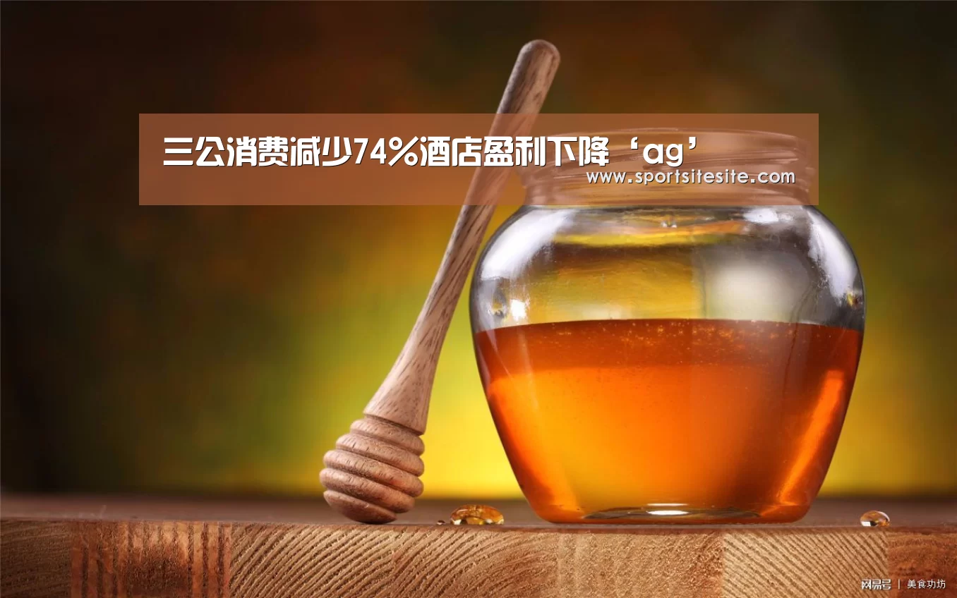 三公消费减少74%酒店盈利下降‘ag’(图4) ag亚娱